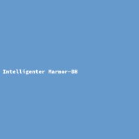 Intelligenter Marmor-BH