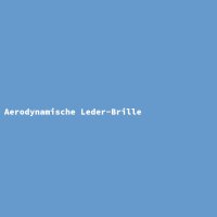 Aerodynamische Leder-Brille
